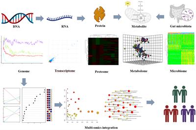 Integrative multi-omics reveals the metabolic and functional diversity of microbiomes in the gut microenvironment